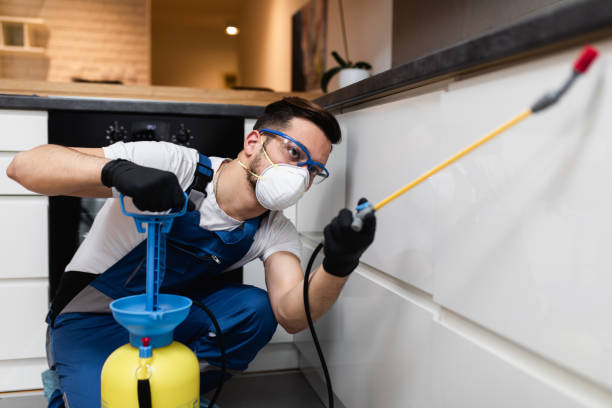 Best Local Pest Control Services  in Salina, KS