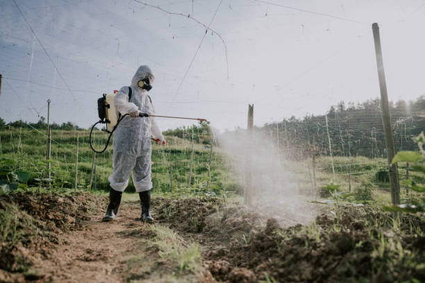 Best Commercial Pest Control Services  in Salina, KS
