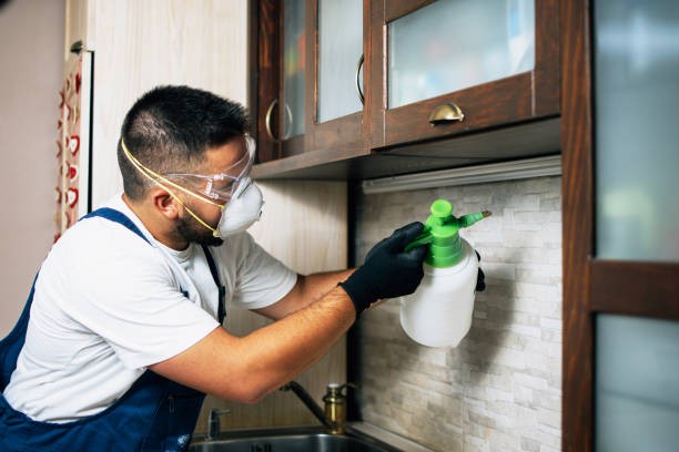 Best Bed Bug Extermination  in Salina, KS