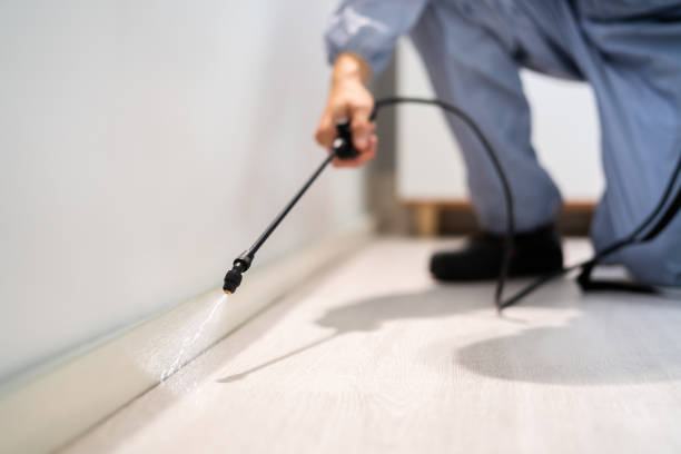 Best Commercial Pest Control Services  in Salina, KS