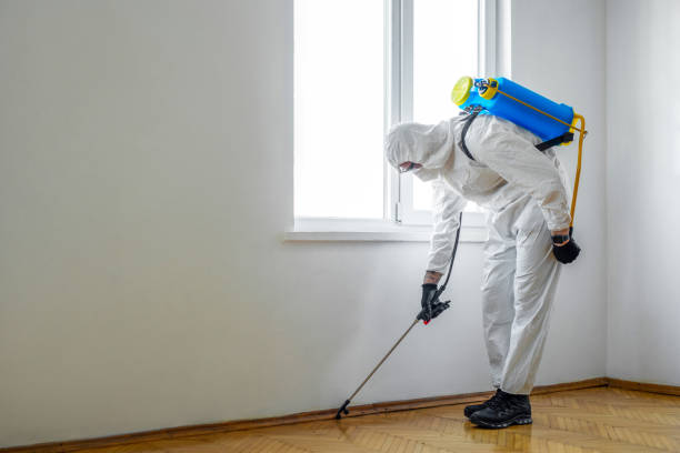 Best Affordable Pest Control Services  in Salina, KS
