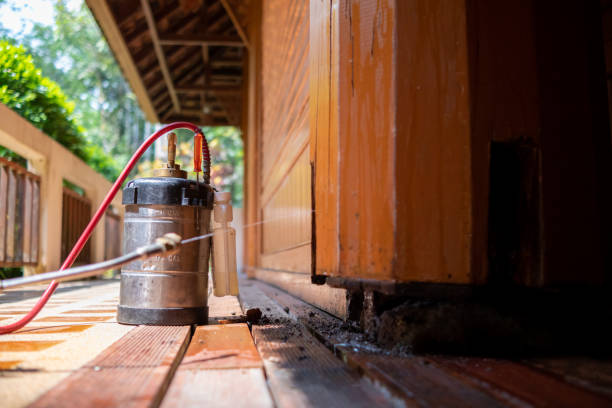 Best Best Pest Control Companies  in Salina, KS