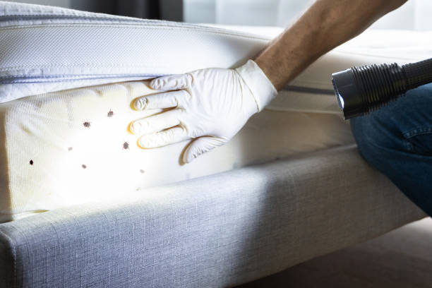 Best Bed Bug Extermination  in Salina, KS