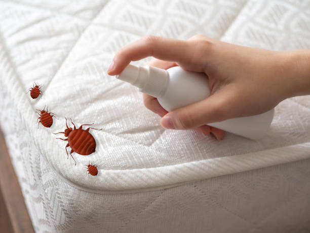 Best Insect Control  in Salina, KS
