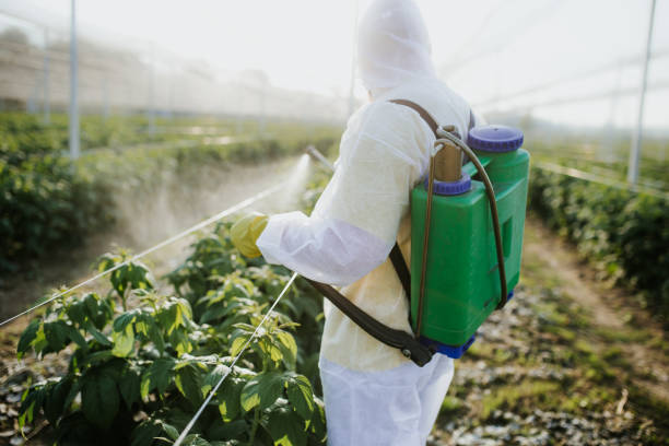 Insect Control in Salina, KS